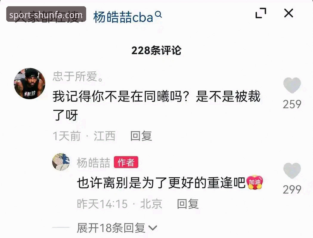 SF体育平台 SF体育平台完整使用指南——从入门到精通的老用户经验分享